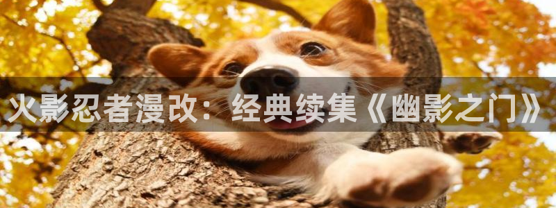 奇漫屋漫画下拉式奇漫屋漫画免费元尊：火影忍者漫改：经典续集《幽影之门》