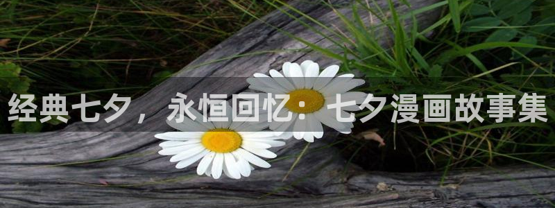 奇漫屋热门漫画：经典七夕，永恒回忆：七夕漫画故事集